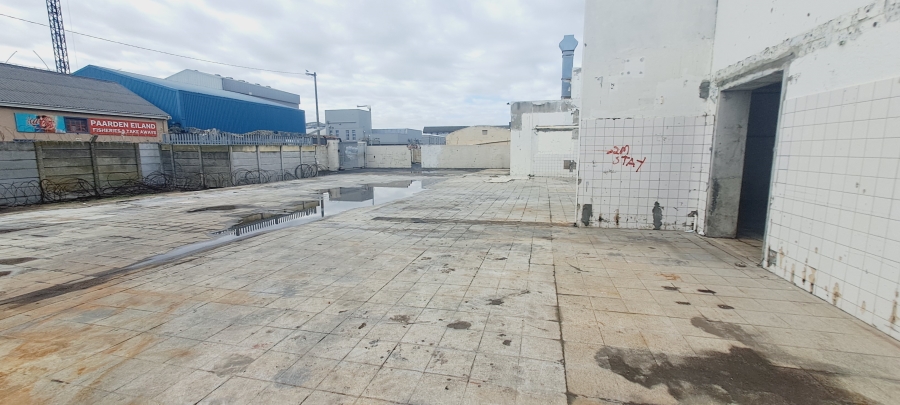 To Let commercial Property for Rent in Paarden Eiland Western Cape